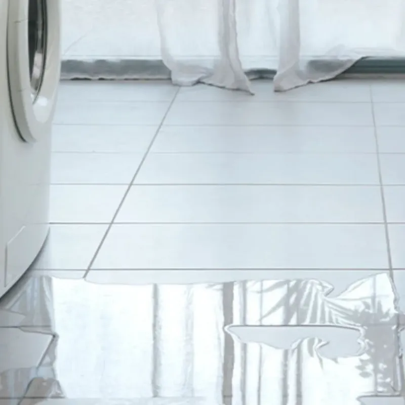 Appliance Leak Cleanup in Big Bear Lake, CA