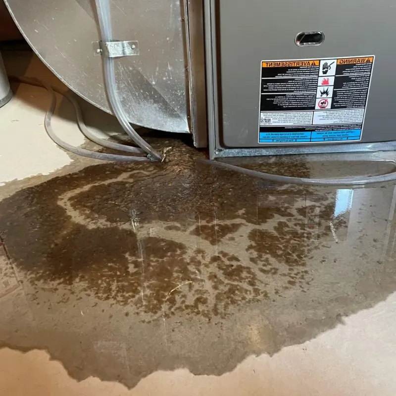 Pipe Burst and Leak Restoration in Big Bear Lake, CA